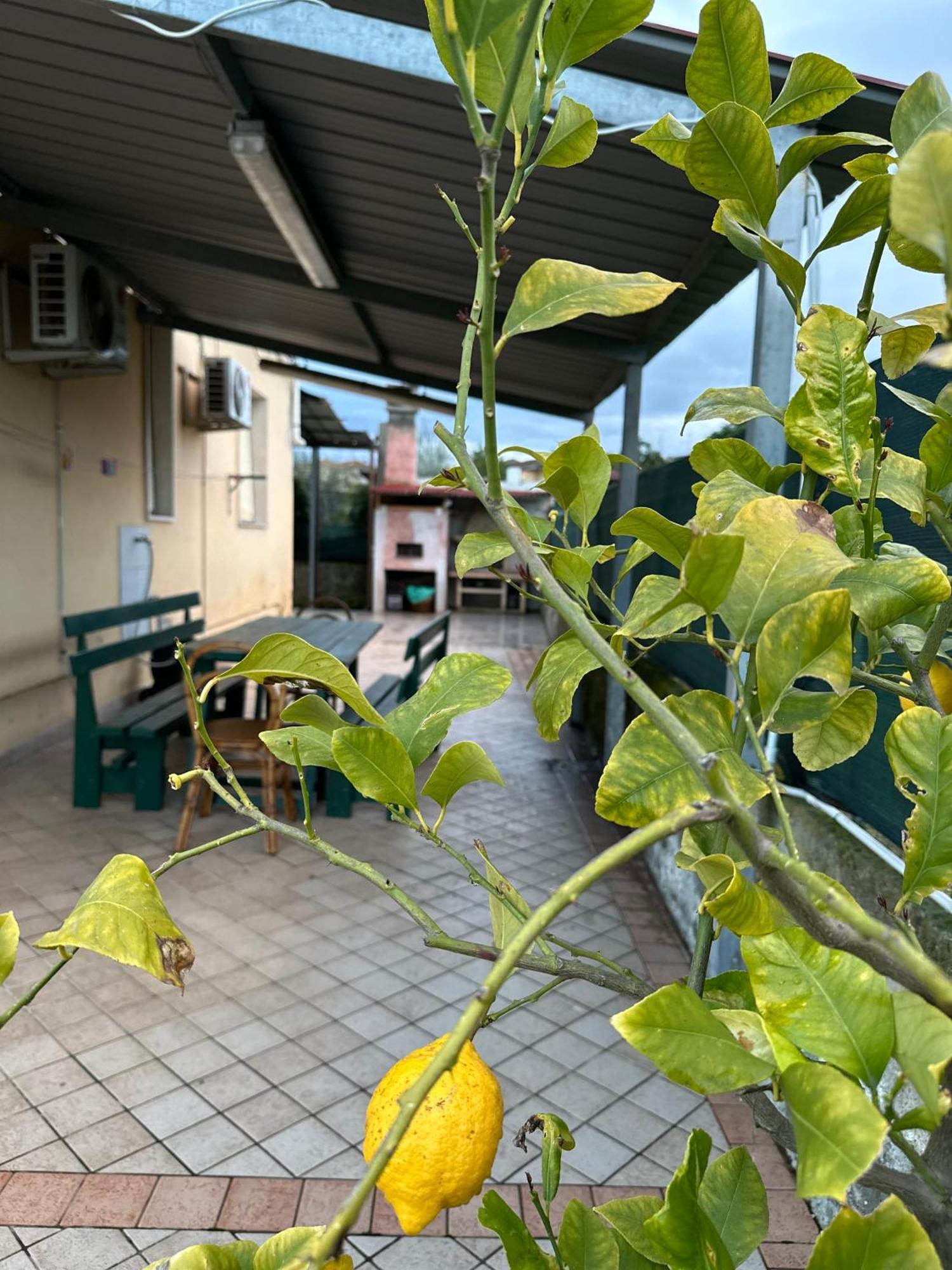 Lazzeretto Peace & Relax Holiday Home מראה חיצוני תמונה
